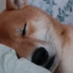잠이 부족할때 나타나는 우리 몸의 비명