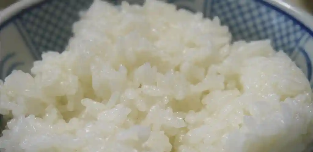 뜨거운 밥 냉동? 식혀서 냉동? 다이어트에도 영향!! 3 냉동밥을 뜨겁게 보관할지 식혀서 보관할지 고민하는 사람을 위한 건강과 다이어트 중심의 냉동밥 보관 팁