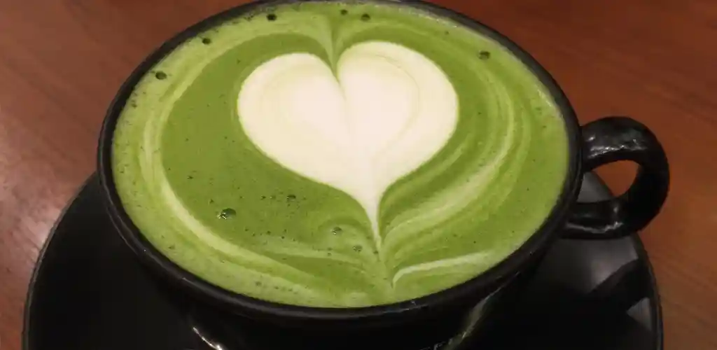 녹차가 체중 감량에 좋은 과학적 이유 3 녹차가 체중 감량에 도움이 되는 이유와 실생활 활용법