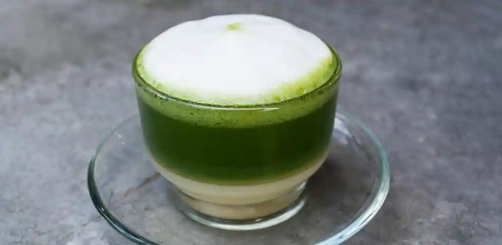 녹차가 체중 감량에 좋은 과학적 이유 5 녹차가 체중 감량에 도움이 되는 이유와 실생활 활용법