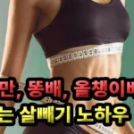 마른비만 올챙이배 뱃살 빼기 노하우