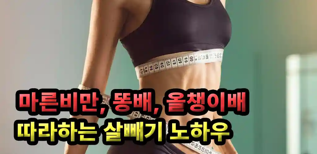 마른비만 올챙이배 뱃살 빼기
